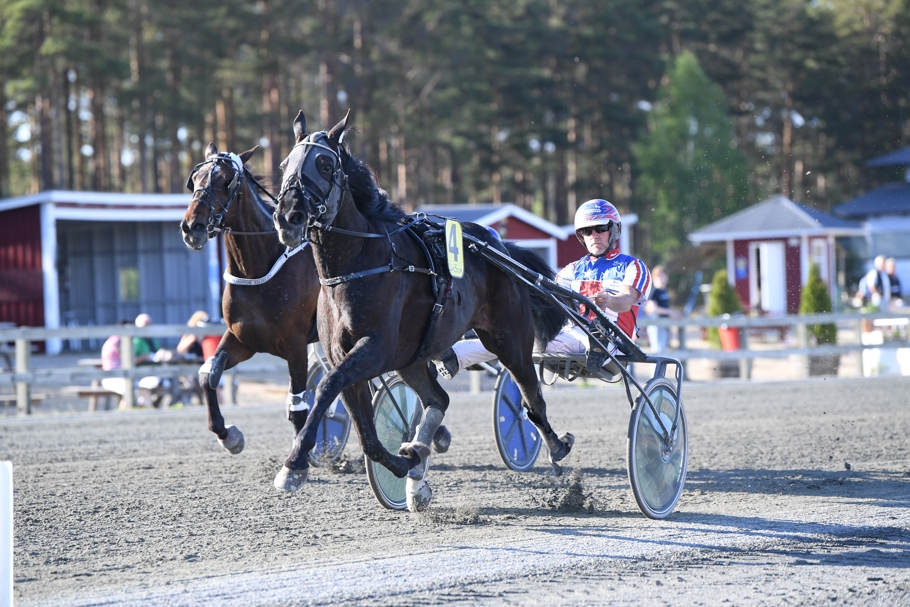 Victor Herault mål 9377 (2).JPG