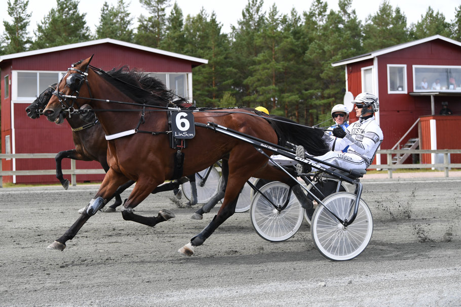 Minnucci Zon mål 9512.jpg
