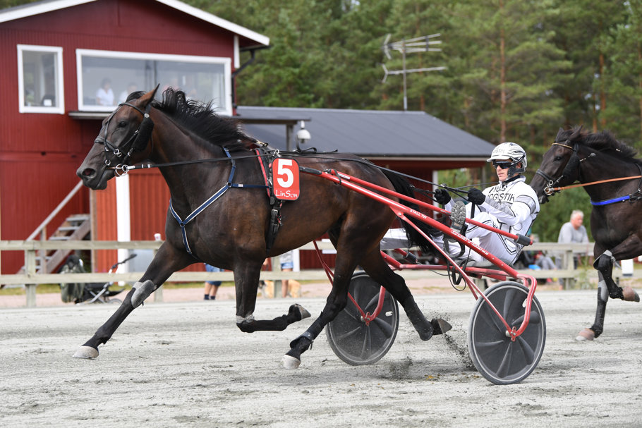 Rutilia mål 249.jpg