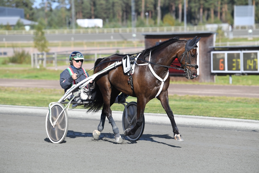 Fighter Marke segerdef 35 (1).JPG