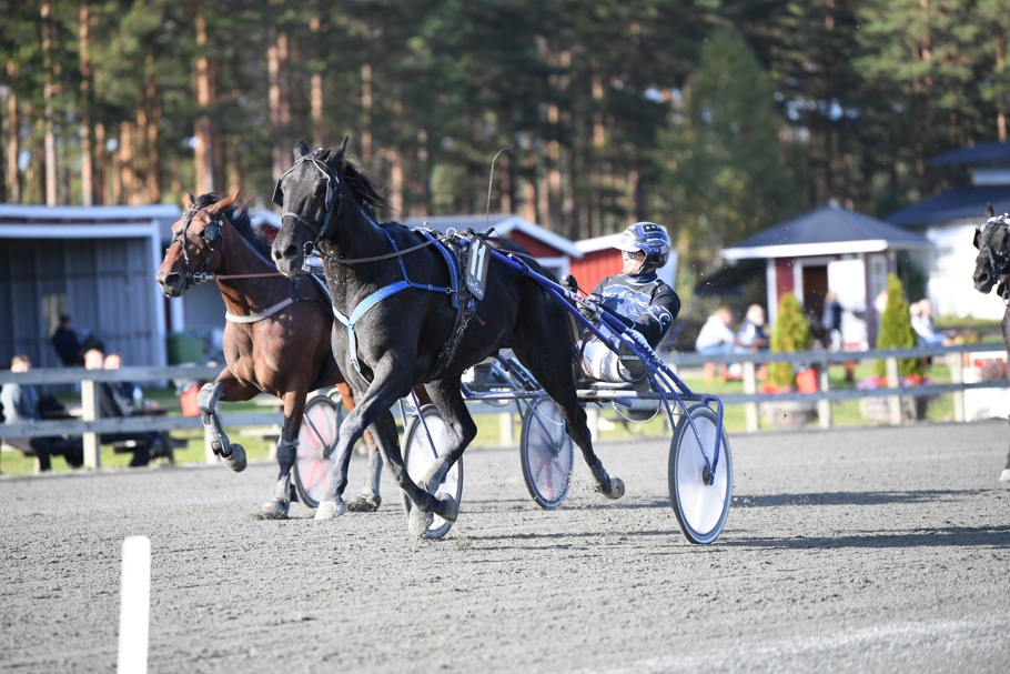 O.M.Highstep mål 552 (1).JPG
