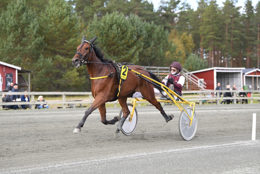 Springdayfree mål 3332 (1).JPG