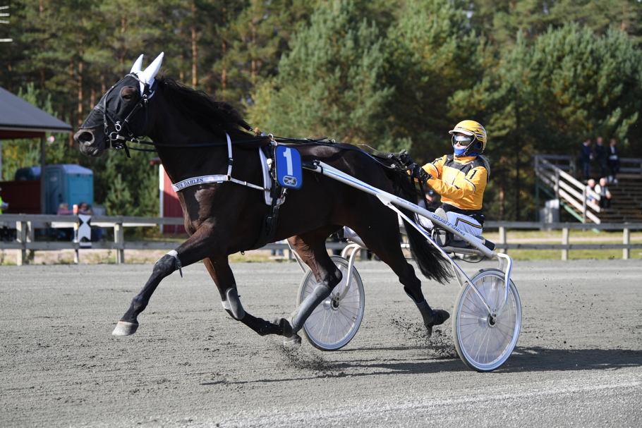 Vivienne Tif mål 391 (4).JPG