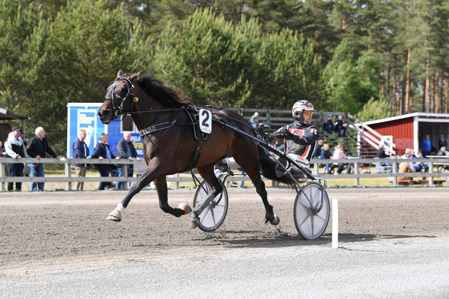 First Euro mål 8510.jpg