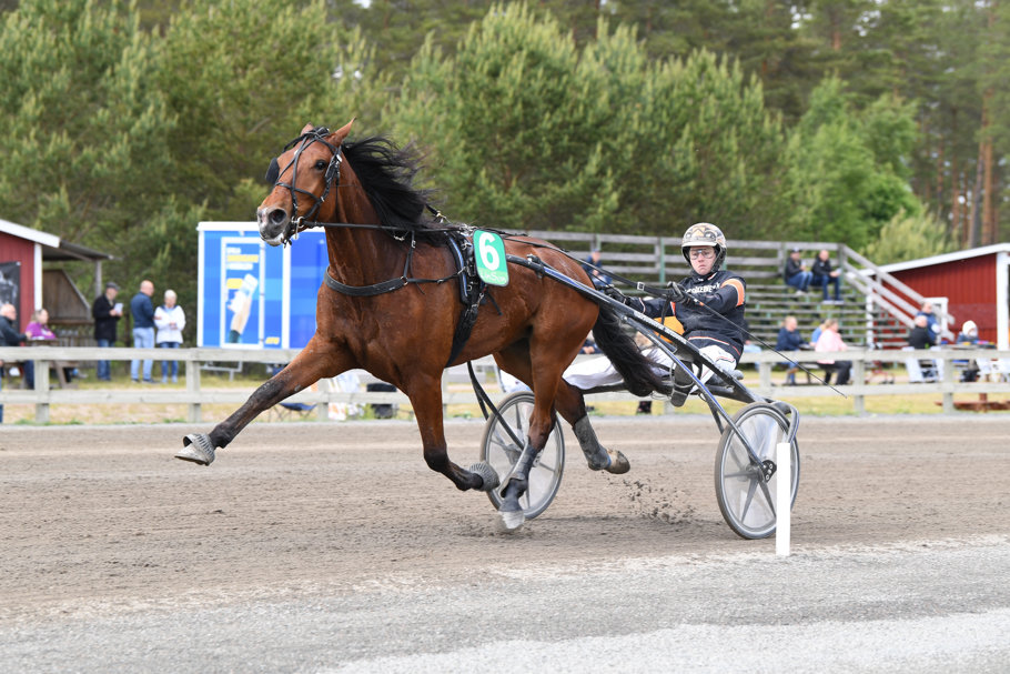 Vincent Cheri mål 439.jpg