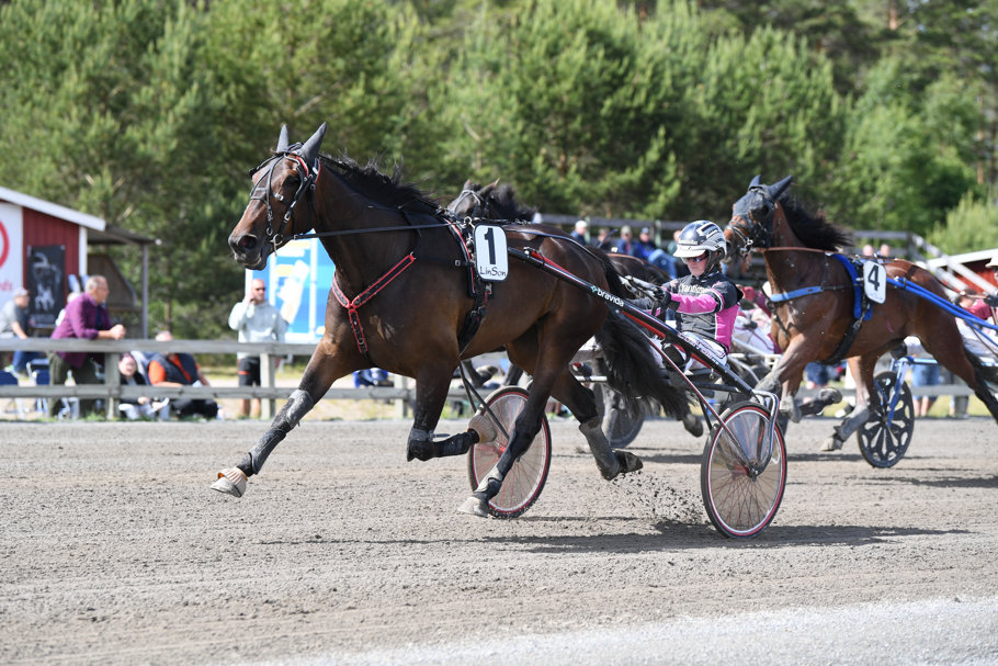 Andante T.M. mål 39 (4).jpg
