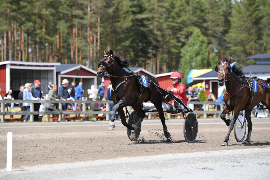 Jollywood mål 0943 (2).jpg