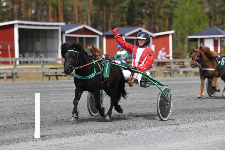 JIPPI MO mål 667 (3).jpg