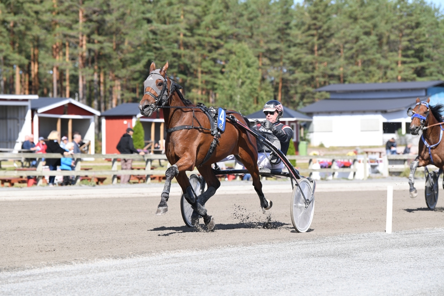 Last Joke mål 7435 (3).JPG