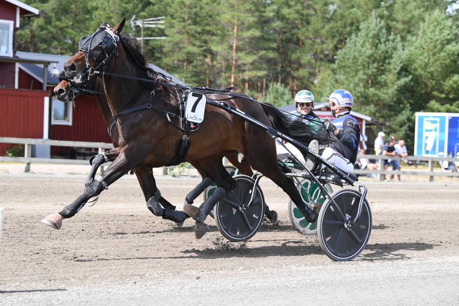 Adthemission mål 047 (5).JPG