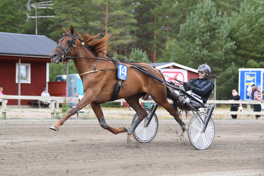 Honey Dollar mål 34 (1).JPG