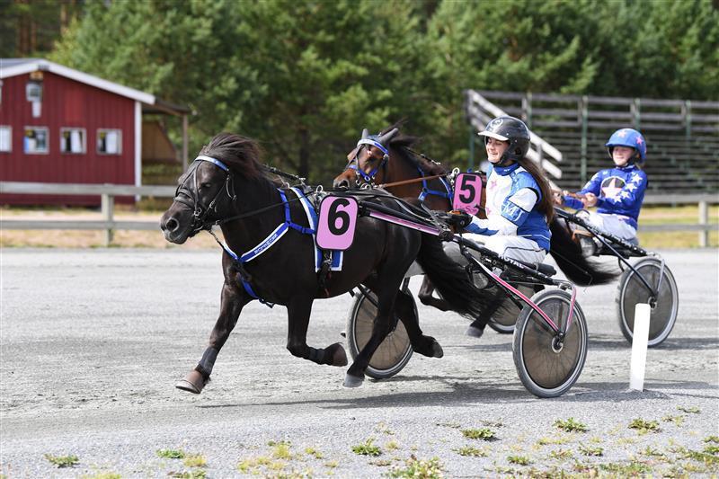 GRANSJÖNS KRUMELUR.jpg